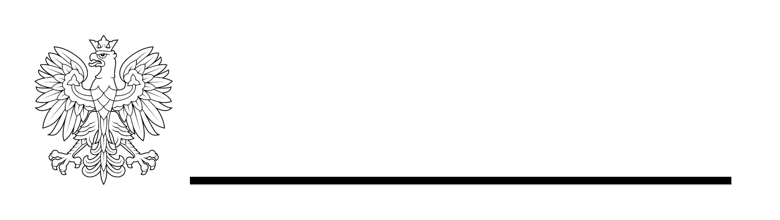 Patronat honorowy Minister Kultury