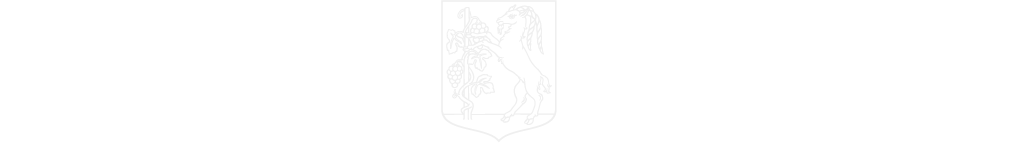 Patronat honorowy Prezydenta Miasta Lublin