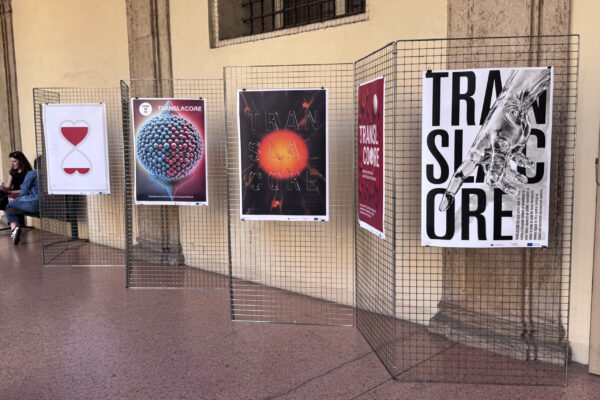 translacore_international poster biennale lublin_bolgna11