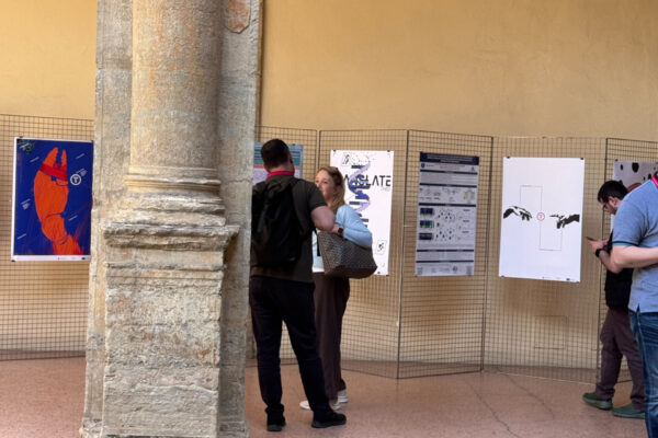 translacore_international poster biennale lublin_bolgna45