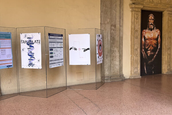 translacore_international poster biennale lublin_bolgna7