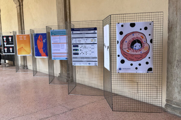 translacore_international poster biennale lublin_bolgna8